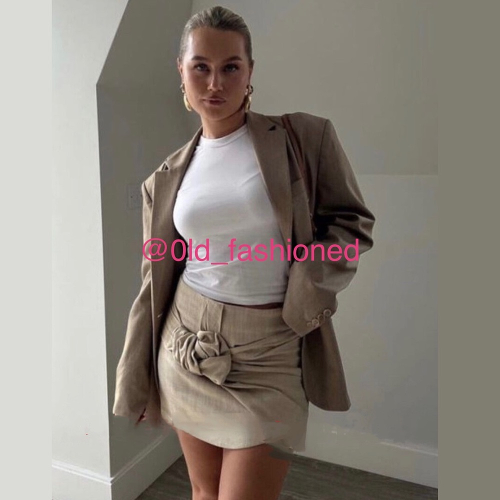 ZARA Bloggers Fav Skort